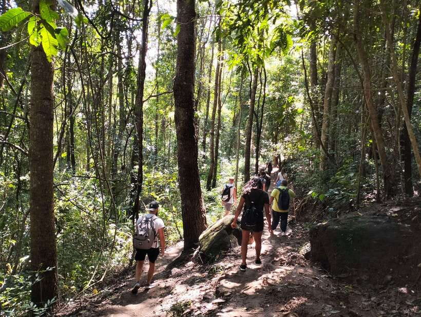 Chiang Mai: Mae Ya Waterfall & Pha Dok Siew Trail Trek - Wachirathan Waterfall
