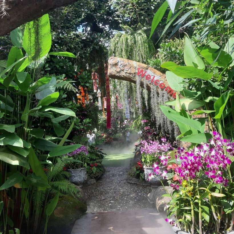Chiang Rai: Temples Trip With Sang Kaew and Lalitta Cafe - Pricing and Inclusions