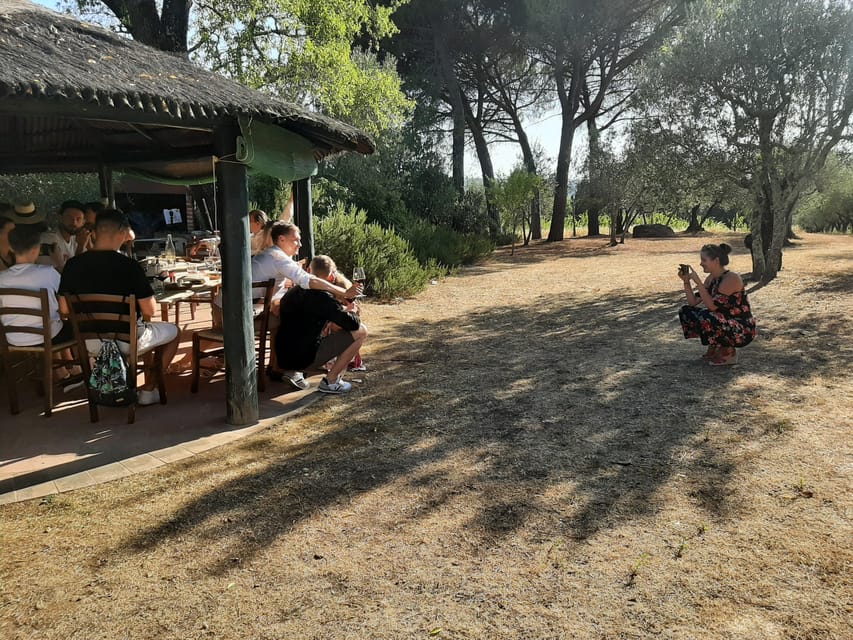 Chianti Organic Wine Tasting - Accessibility and Transportation