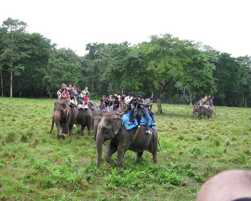 Chitwan: Jeep Safari and Canoeing Adventure with Guide - Analyzing the Value and Practical Aspects