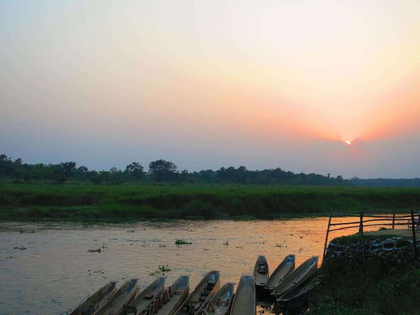 Chitwan Jungle Safari - 2 nights / 3 days - Why This Tour Offers Great Value