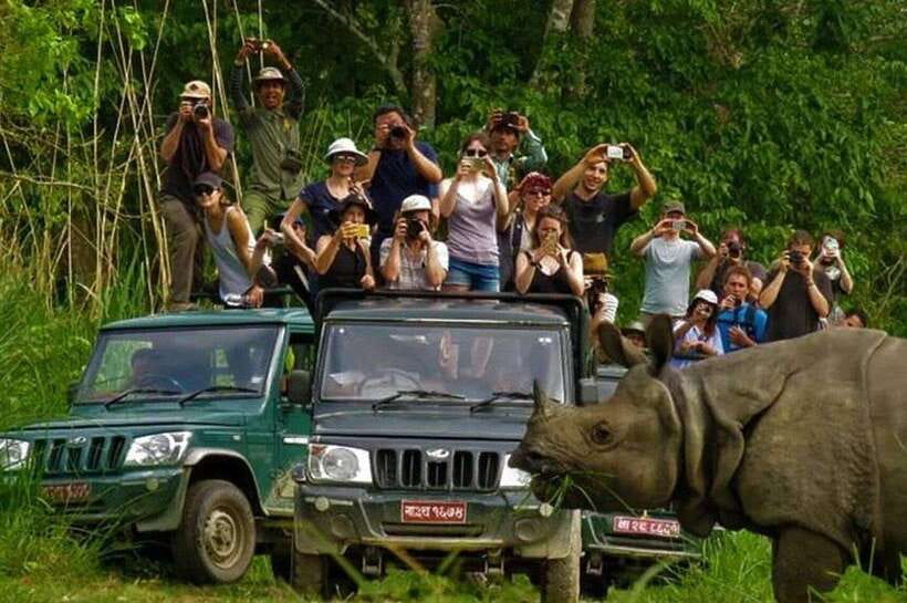 Chitwan National Park Tour - What to Expect: An In-Depth Look