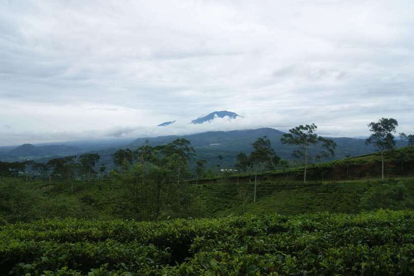 Cianjur: Full-Day Historical Tour of Gunung Padang and Falls - The Scenic Drive Through Tea Plantations