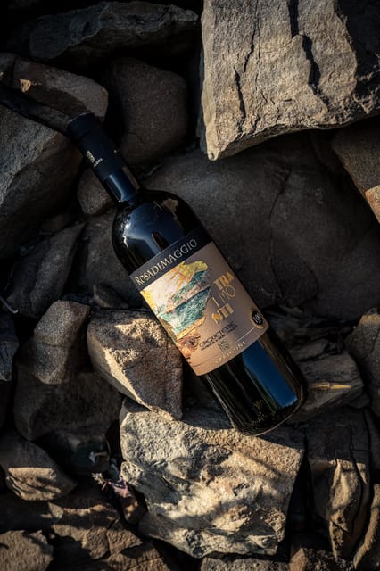 Cinque Terre: Tasting in the Cellar With Visit to Vineyards - Wine Tasting Details