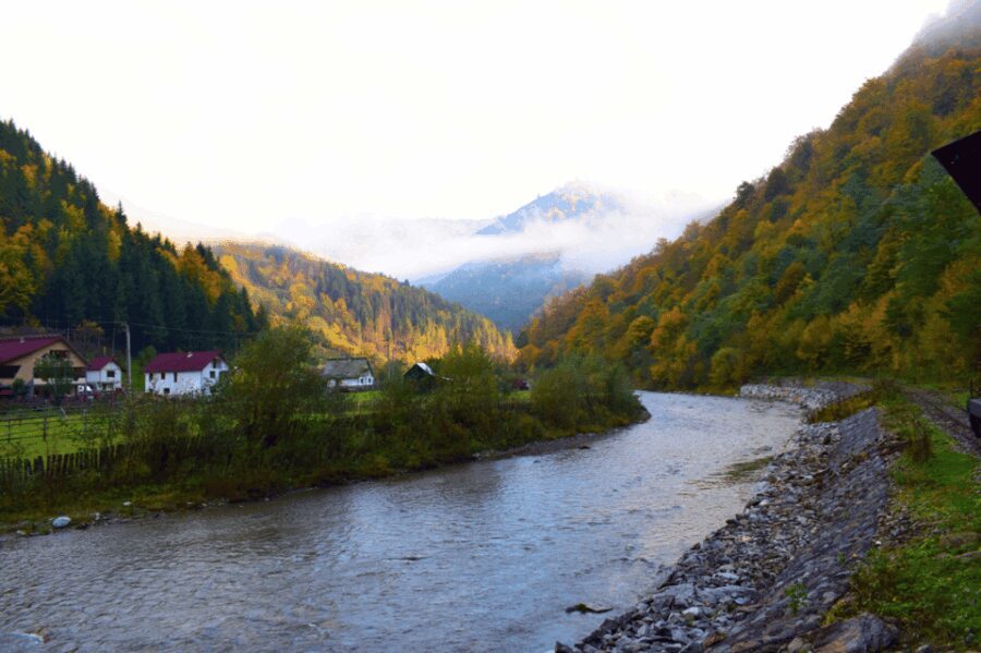 CJ03 - Day trip to Maramures Mocanita Train from Cluj Napoca - What Travelers Say