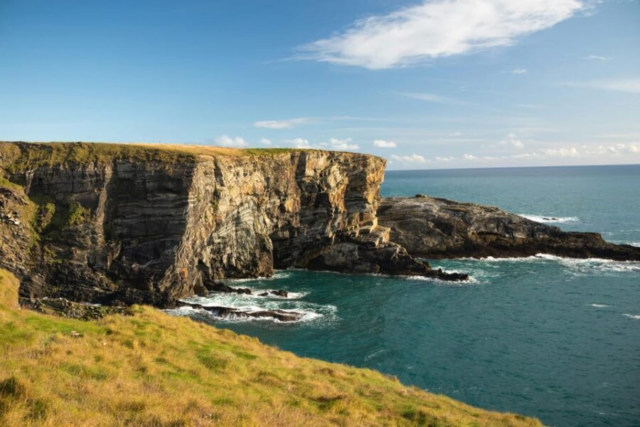 Cobh/Cork: Blarney Castle, Kinsale & Cork City Shore Tour - What You Get for Your Money