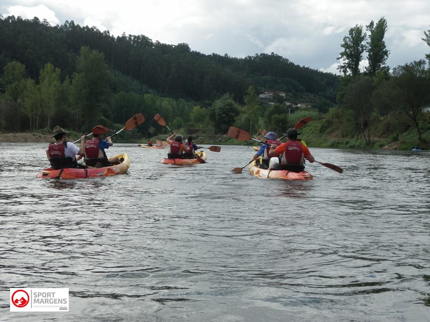 Coimbra: Kayak Descent on the Mondego River - Authentic Reviews and Traveler Insights