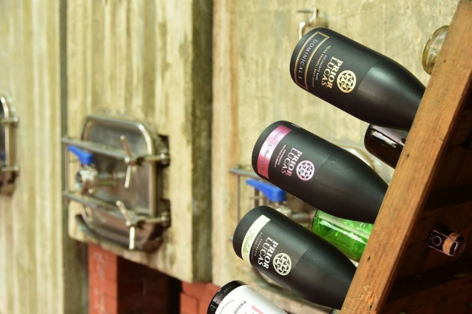 Coimbra: Prior Lucas Wine Experience - Who Should Consider This Experience?