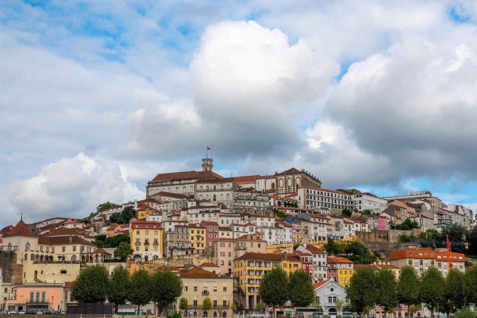 Coimbra Private Guided Walk: Historic Campus & Local Cuisine - Who Will Love This Tour?
