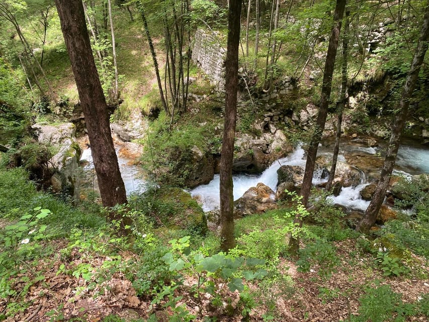Collepardo: Trisulti Charterhouse and Hermitage Guided Hike - Exploring the Trisulti Charterhouse