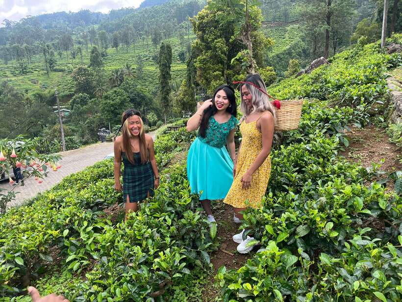 Colombo: Nuwara Eliya: Tea Gardens,Colonial Charm & High Tea - The Itinerary, Step by Step