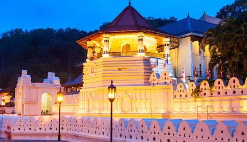 Colombo to Kandy, Pinnawela and Tea Factory Day Tour - Who Will Love This Tour?