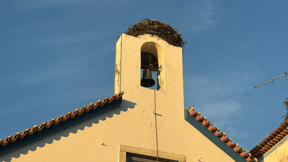 COMPORTA: LAND ROVER PREMIUM TOUR | PICNIC & DRONE INCLUDED - Who Will Love This Tour?