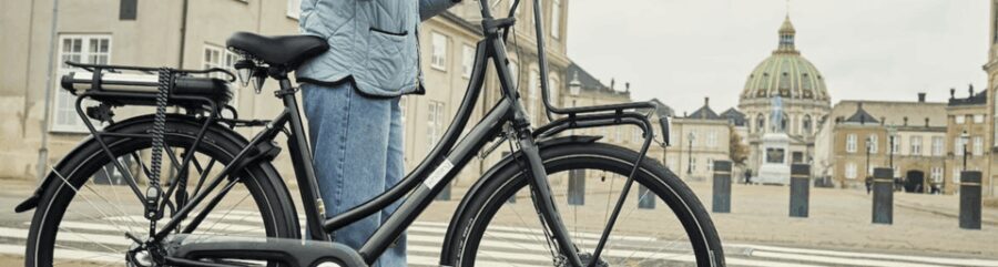 Copenhagen: 3 Hour Extended Grand E-Bike Guided Tour - Why This Tour Offers Good Value