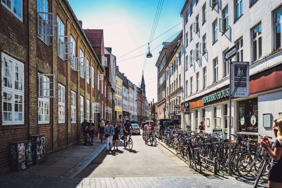Copenhagen City & Rosenborg Castle Private Walking Tour - An In-Depth Look at the Tour