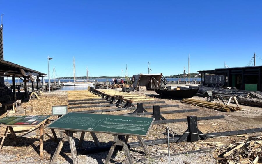 Copenhagen: Roskilde, the Viking City Tour in English - A Detailed Look at the Roskilde Viking City Tour