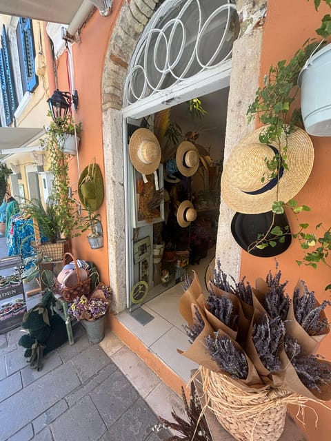 Corfu: Dog Sightseeing Tour - Breakout of the Itinerary: What to Expect 