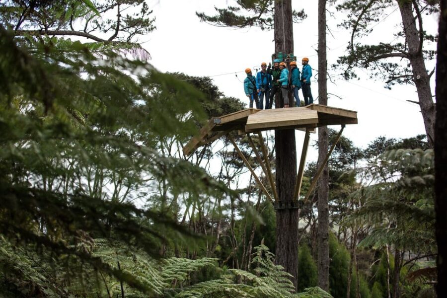 Coromandel: Guided Zipline Tour Experience - Who Should Consider This Tour?