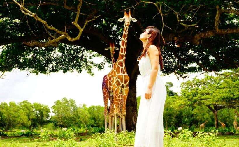 Coron: Calauit Safari Black Island Lunch & Transfer included - Who is this tour ideal for?
