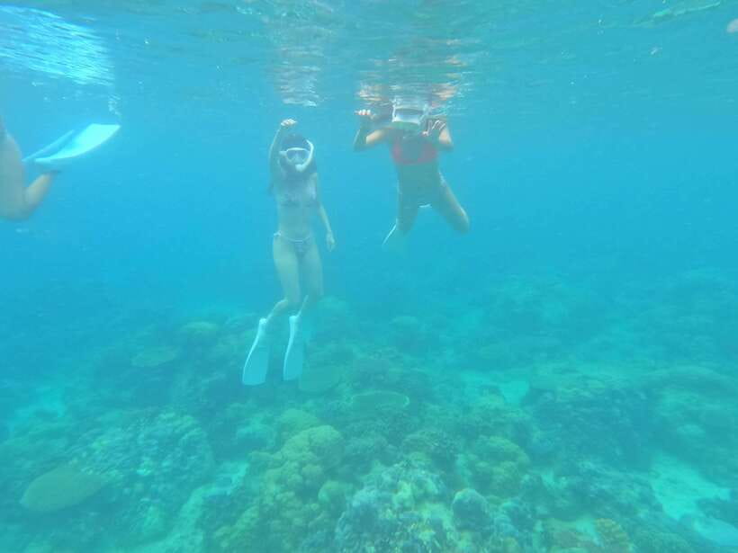 Coron: Dugong Watching with Sea Turtle and Coral Garden tour - What Makes This Tour Stand Out