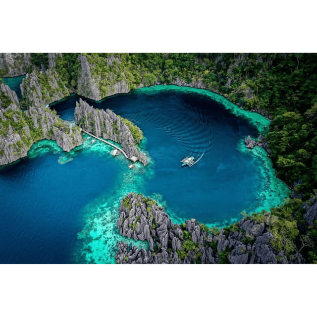 Coron: Reef & East Tangat Wrecks Tour with Lunch - Analyzing the Cost and What You’re Getting