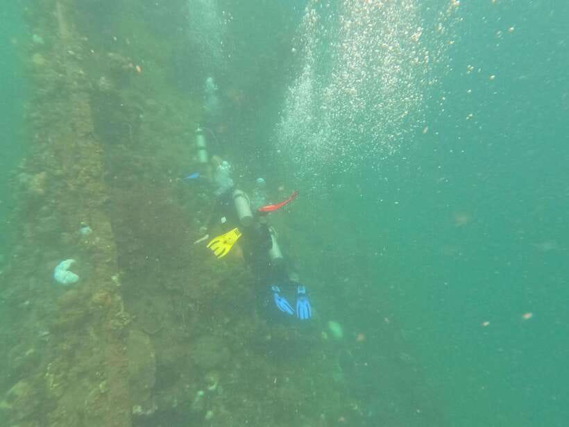 CORON:REEF AND WRECK - 2 JAPANESE WRECK AND PASS ISLAND TOUR - Who Should Consider This Tour?
