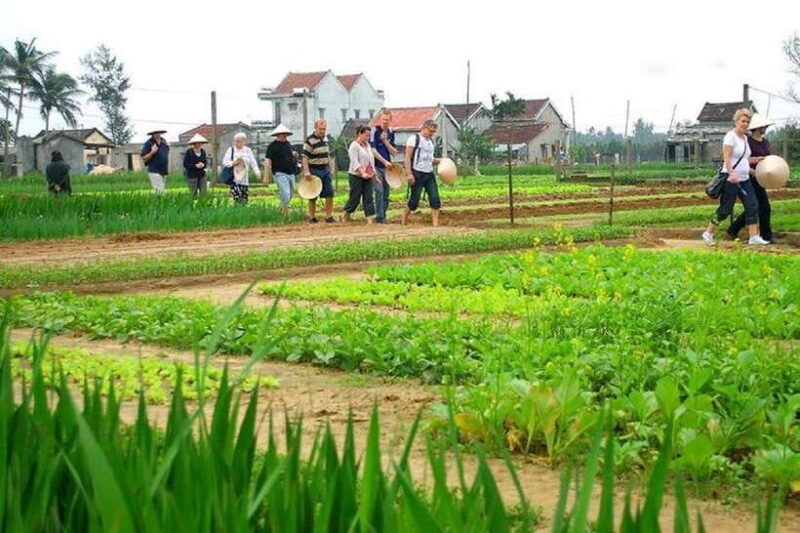 Countryside Biking -Farming -Market -Cooking Class In Hoi An - Exploring Hoi An Local Market