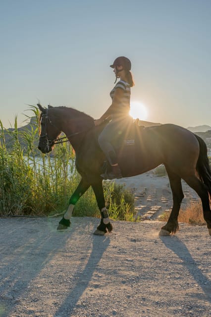 Crete Horse Riding: East Coastline Ride - Who Should Consider This Ride?
