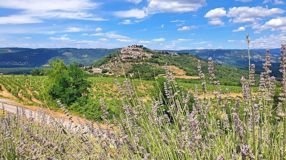 Croatia, Istria: 7-Day Premium Cycling & Gourmet E-Bike Tour - The Ride Through Istria’s Heartland and Coast  