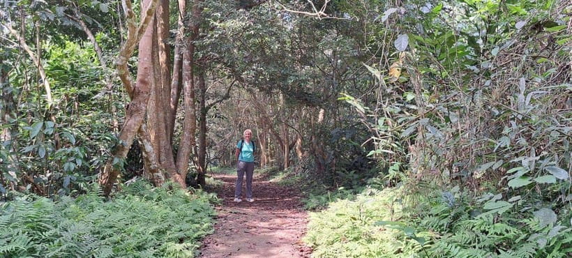 Cuc Phuong National Park - Van Long Day Trip From Hanoi - Highlights of the Itinerary