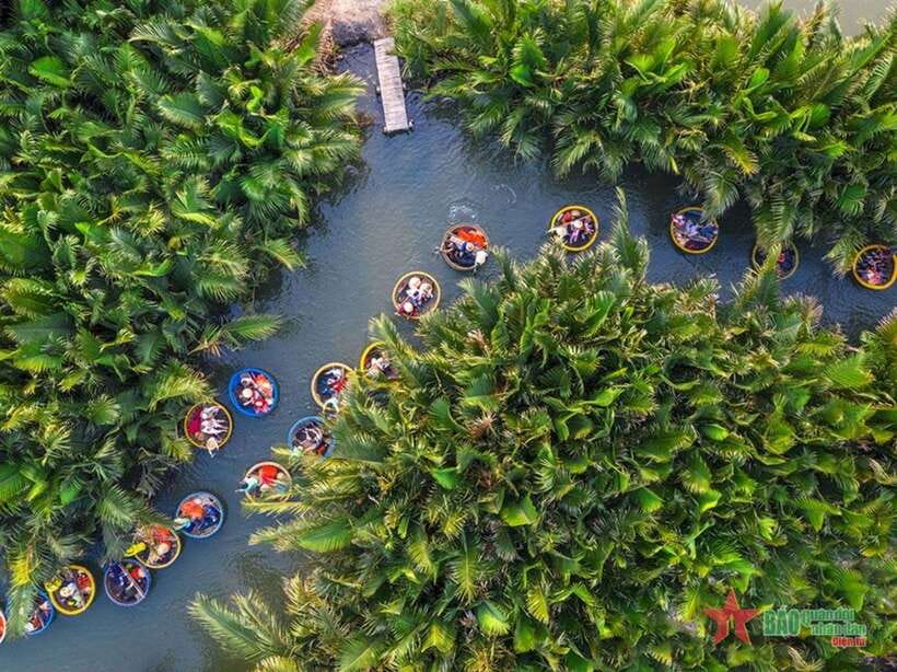 Da Nang: Marble Mountains, Hoi An, and Coconut Forest Tour - Itinerary Highlights