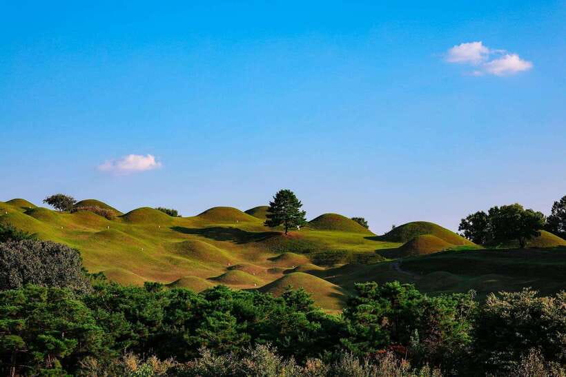 Daegu: Private Taxi Tour Car Charter - What You Can Expect from the Experience