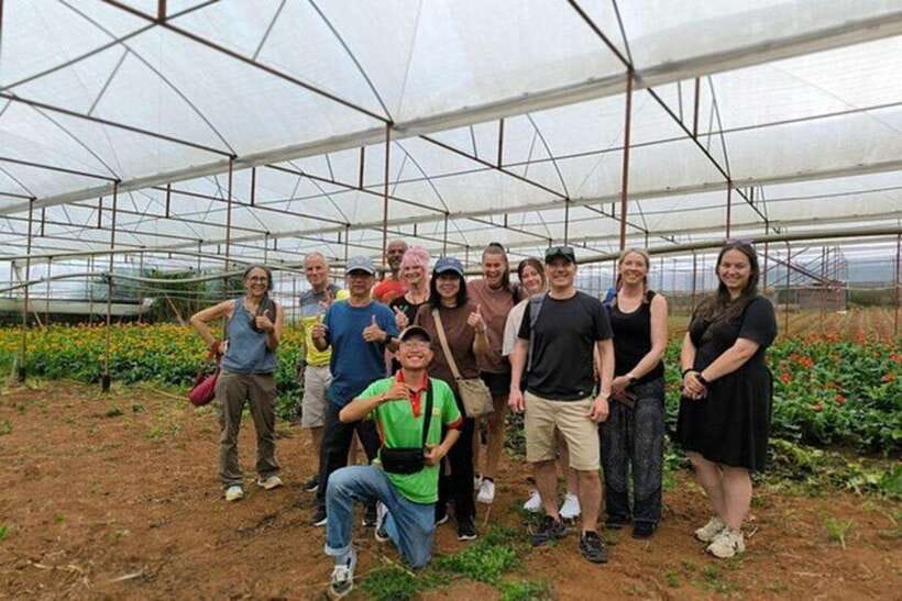 Dalat Countryside & Pongour Waterfall Tours (Small Group) - Itinerary Highlights