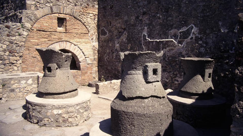 Discover Pompeii, Herculaneum and taste the wines of Vesuvius in a unique experience - What to Expect from This Unique Day Trip
