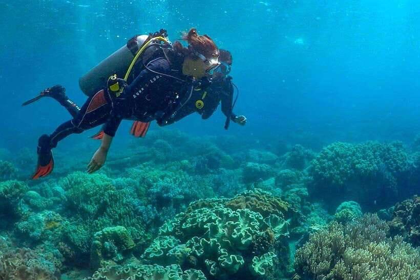 Discover Scuba: PADI Intro Dive in Dauin - What You Can Expect on Your Discover Scuba Tour