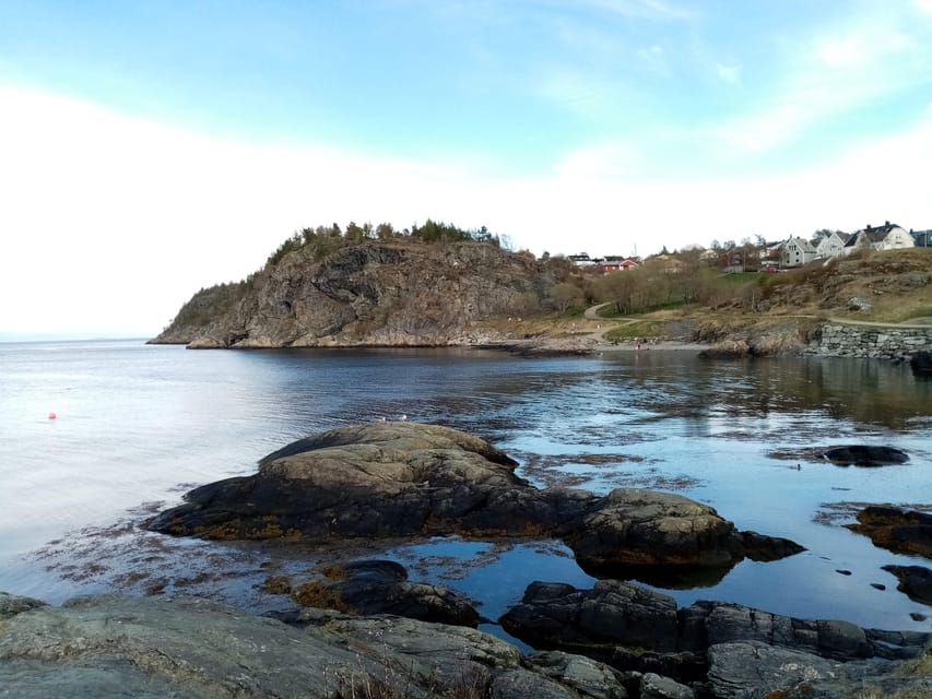 Discovery hike along the Trondheimsfjord - Authenticity and Value