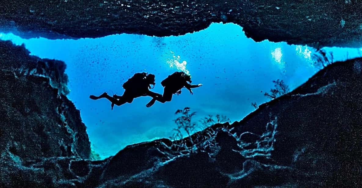 DiveSnap Underwater Sports Thrills:Lantern Point & P31 Wreck - Who Will Love This Tour?