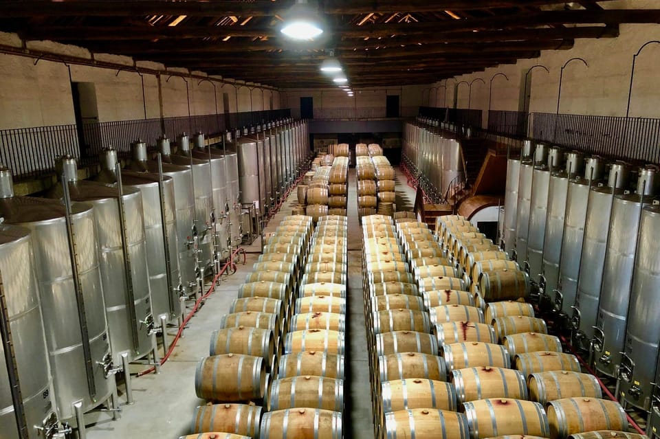 Douro - tour to explore the cradle of Barca Velha wine - Who Would Enjoy This Tour?