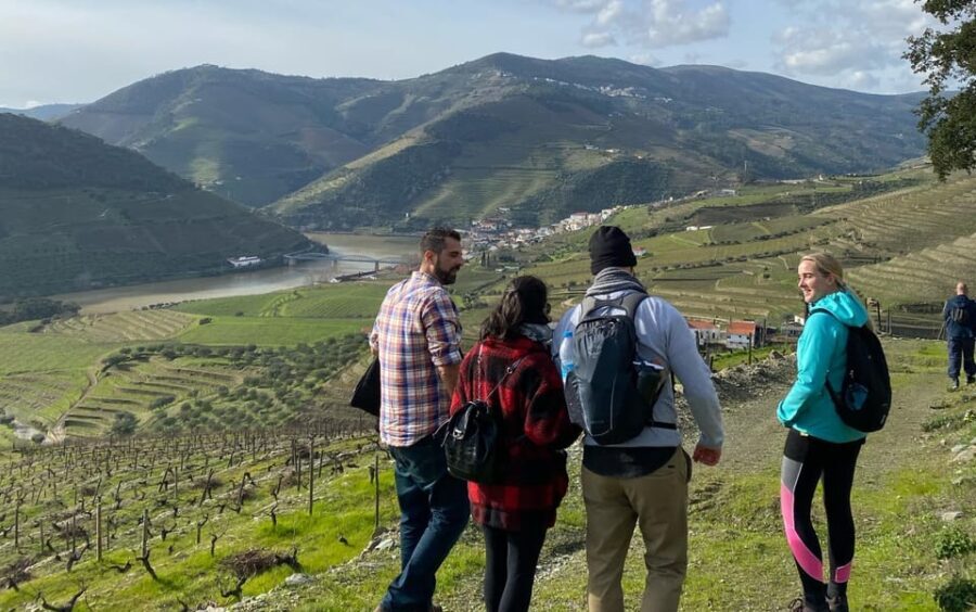 Douro valley: 10 km hike in the Valley - The Details that Matter