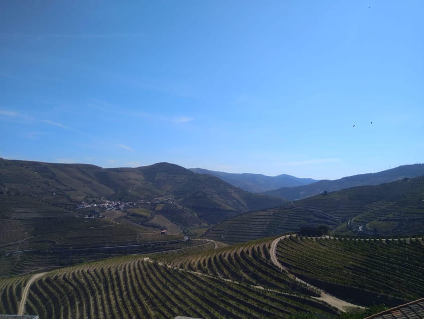 Douro Valley & Amarante - from Porto, Braga or Guimarães - What Makes This Tour Stand Out?