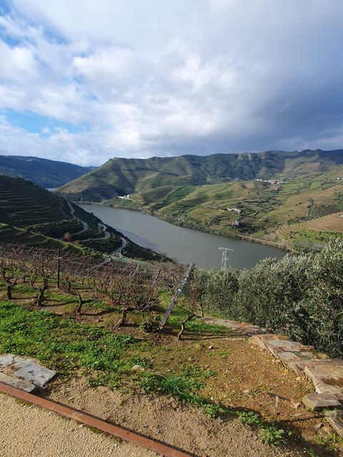 Douro Valley Full Day Tour From Lisbon - What Makes This Tour Stand Out?