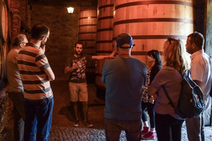 Douro Valley: Quinta do Tedo Wine Experience with Picnic - FAQ