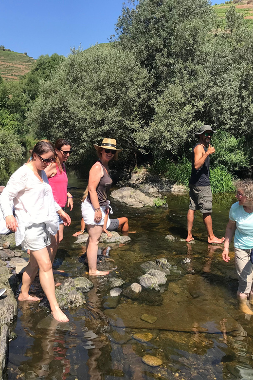 Douro Valley: water walking adventure with local lunch - A Closer Look at the Douro Water Walking Adventure