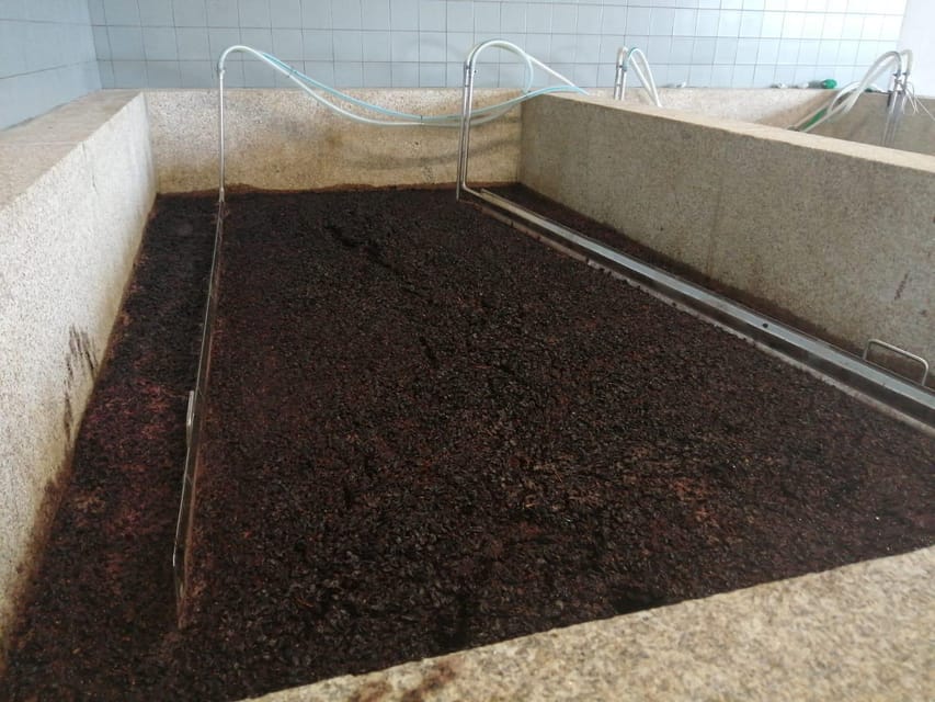 Douro Valley Wine Tour With Traditional Lunch - The Practicalities: What You Need to Know