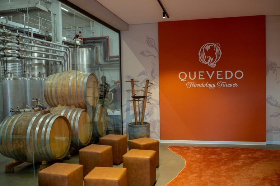 Douro Valley: Winery Visit & Premium Aged Port Wine Tasting - The Itinerary: A Guided Journey through Port’s World