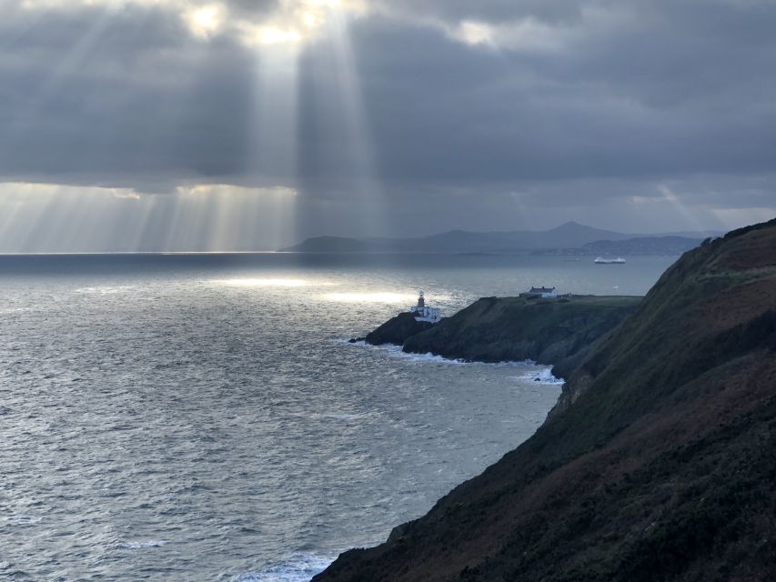 Dublin: Dublin Coastal Hike and Pints & Puppies - Nature and Wildlife Encounters