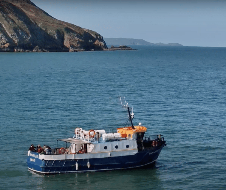 Dublin: Howth Cliffs and Lighthouse Boat Tour - What to Expect on the Tour