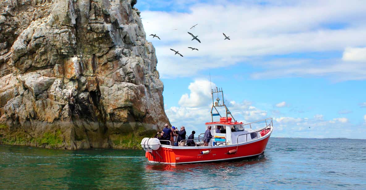 Dublin: Howth Coastal Boat Tour - Who Should Book This Tour?  