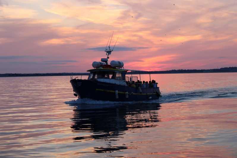 Dublin: Sunset Cruise in Howth - Authentic Experiences and Traveler Insights