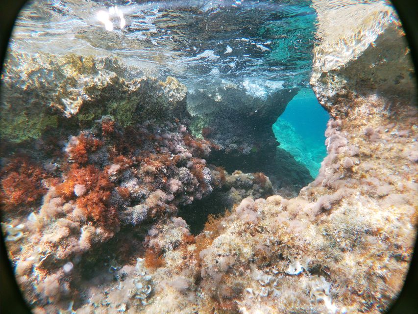 Dubrovnik: Half-Day Private Boat Trip to Elafiti Islands - What To Expect on Your Private Boat Tour